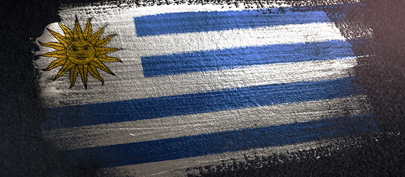 bandera seleccion de uruguay